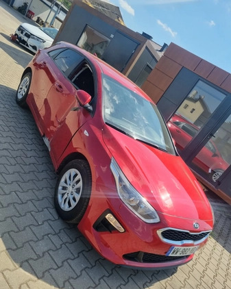 Kia Ceed cena 49900 przebieg: 11000, rok produkcji 2021 z Mikołów małe 781